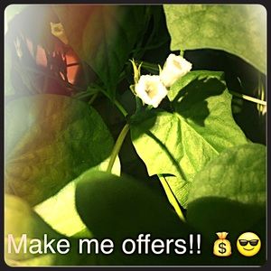 I love offers or trades!